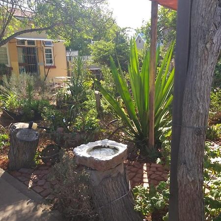 Tranquility In Klein Karoo Daire Oudtshoorn Dış mekan fotoğraf
